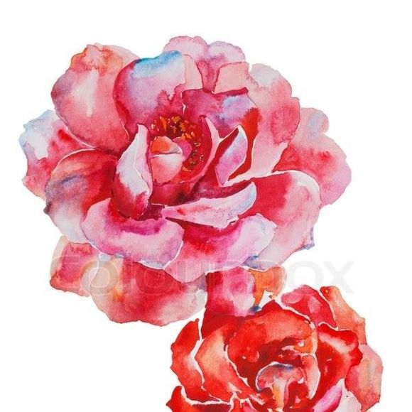 Meet your Posher, Alexandra - Picture 1 of 1